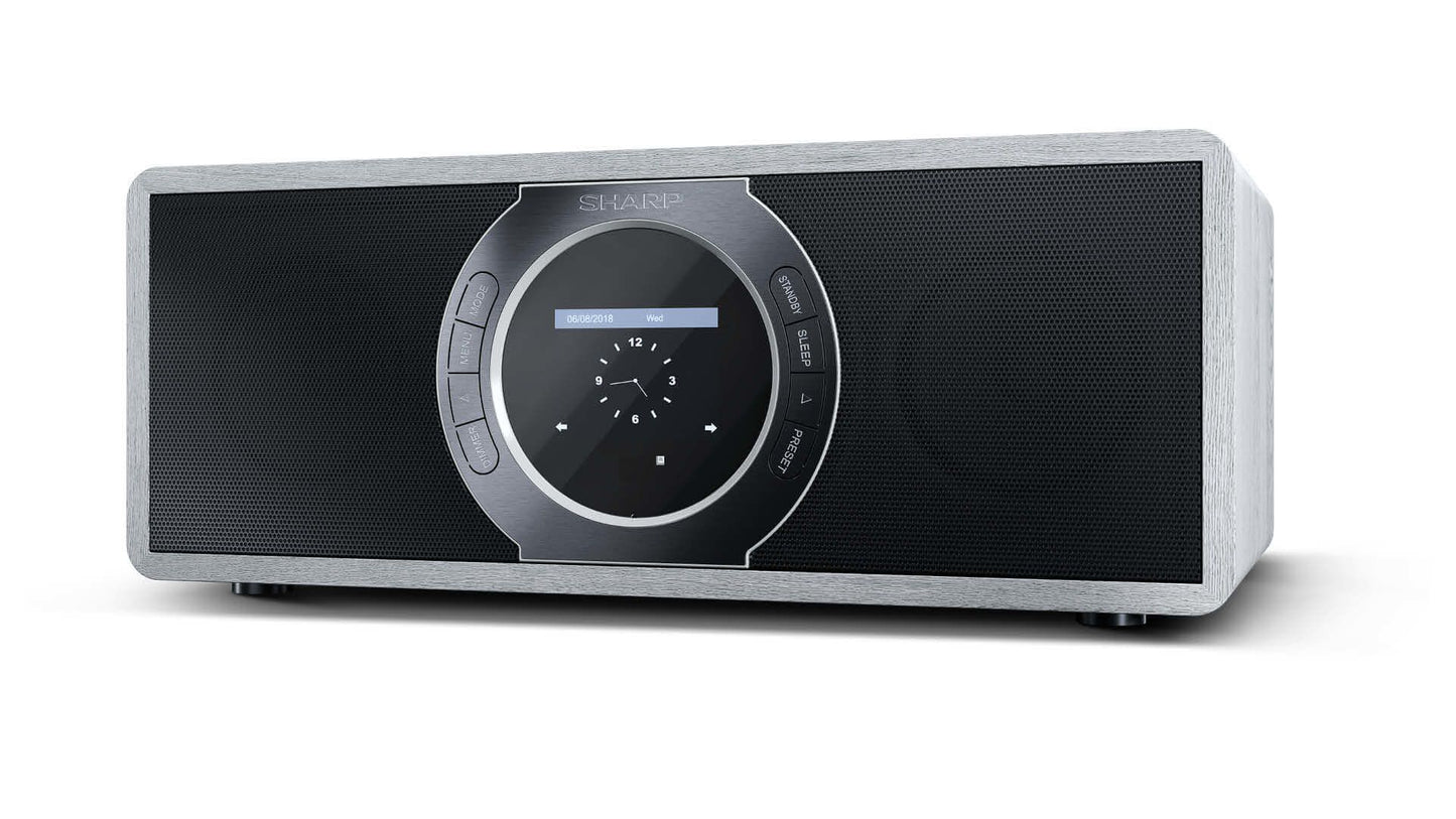Sharp DR-I470(GR) radio Portable Digital Grey