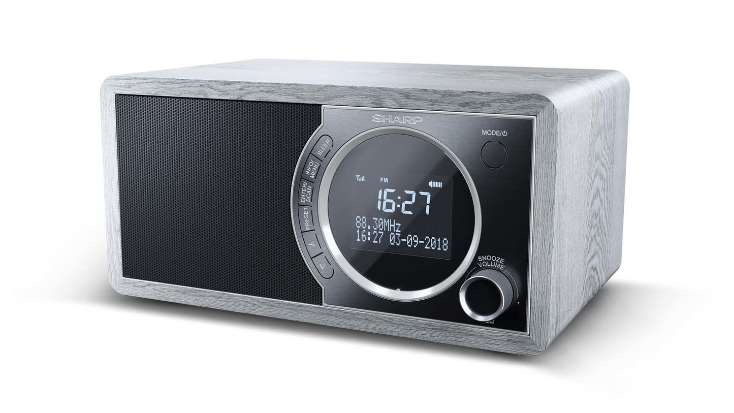 Sharp DR-450 Personal Digital Grey, Stainless steel