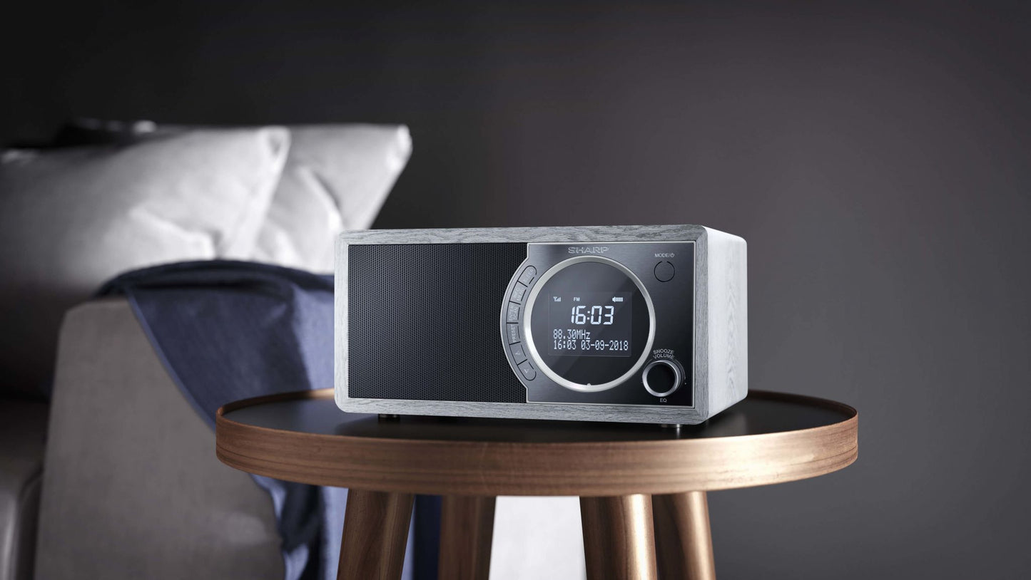 Sharp DR-450 Personal Digital Grey, Stainless steel