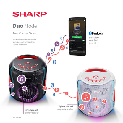 Sharp PS-919 2.1 portable speaker system Black 130 W
