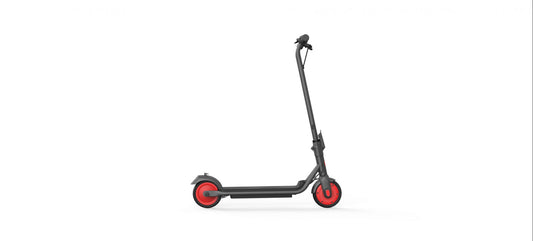 Ninebot by Segway Zing С20 16 km/h Black, Red 5 Ah